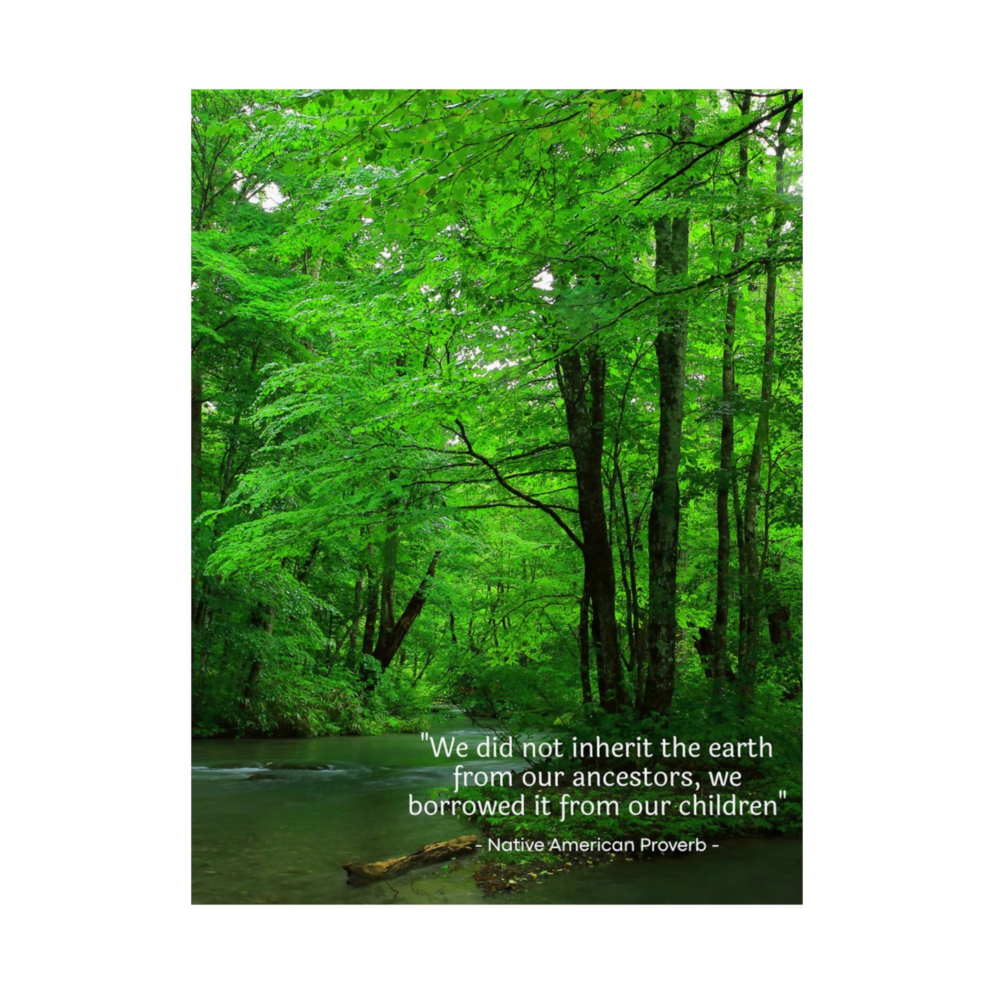 "We Do Not Inherit the Earth From Our Ancestors; We Borrow It From Our Children" Native American Proverb Wall Art - Indigenous Wisdom on Environmental Stewardship
