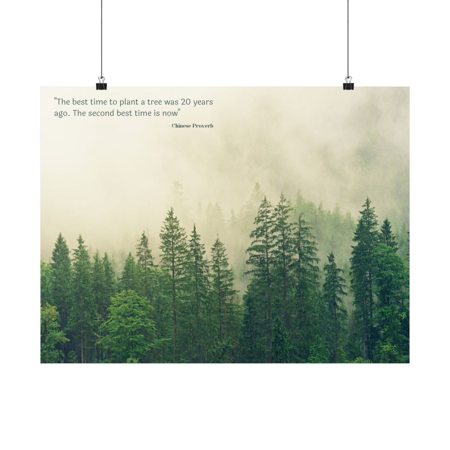 "The Best Time to Plant a Tree Was 20 Years Ago. The Second Best Time Is Now." Modern Colloquialism Wall Art - Timeless Wisdom on Action Over Regret