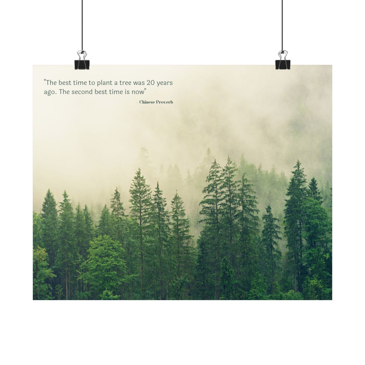 "The Best Time to Plant a Tree Was 20 Years Ago. The Second Best Time Is Now." Modern Colloquialism Wall Art - Timeless Wisdom on Action Over Regret