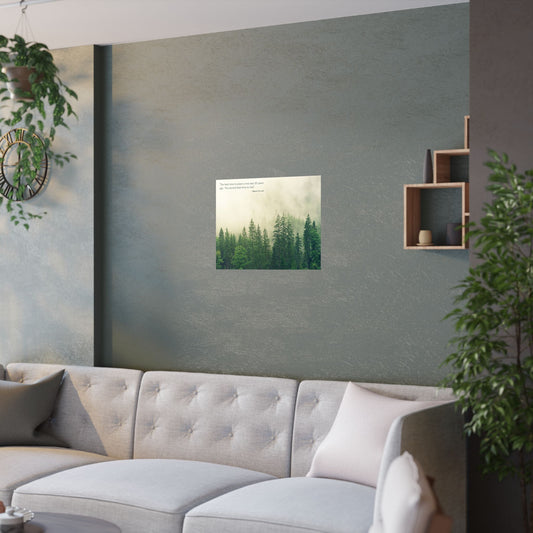 "The Best Time to Plant a Tree Was 20 Years Ago. The Second Best Time Is Now." Modern Colloquialism Wall Art - Timeless Wisdom on Action Over Regret