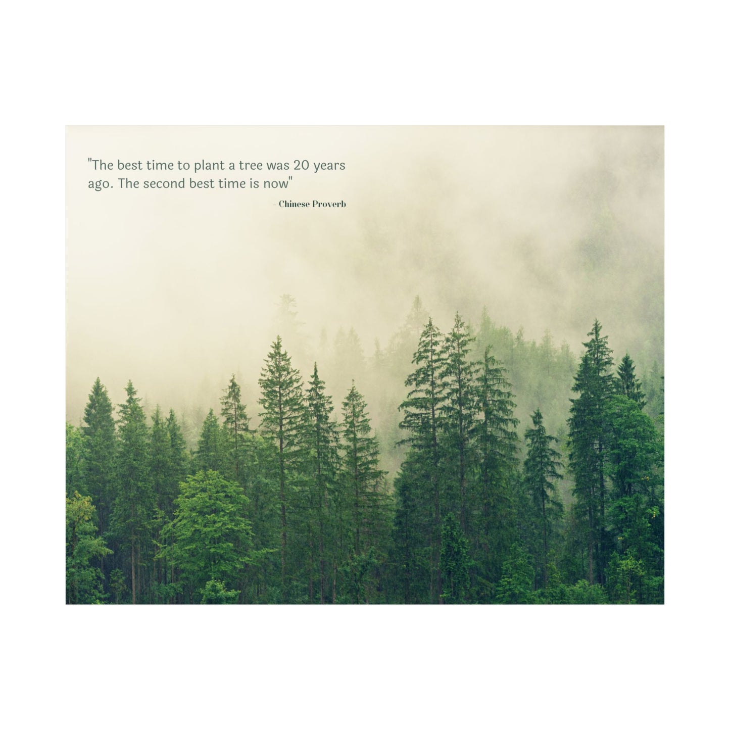 "The Best Time to Plant a Tree Was 20 Years Ago. The Second Best Time Is Now." Modern Colloquialism Wall Art - Timeless Wisdom on Action Over Regret