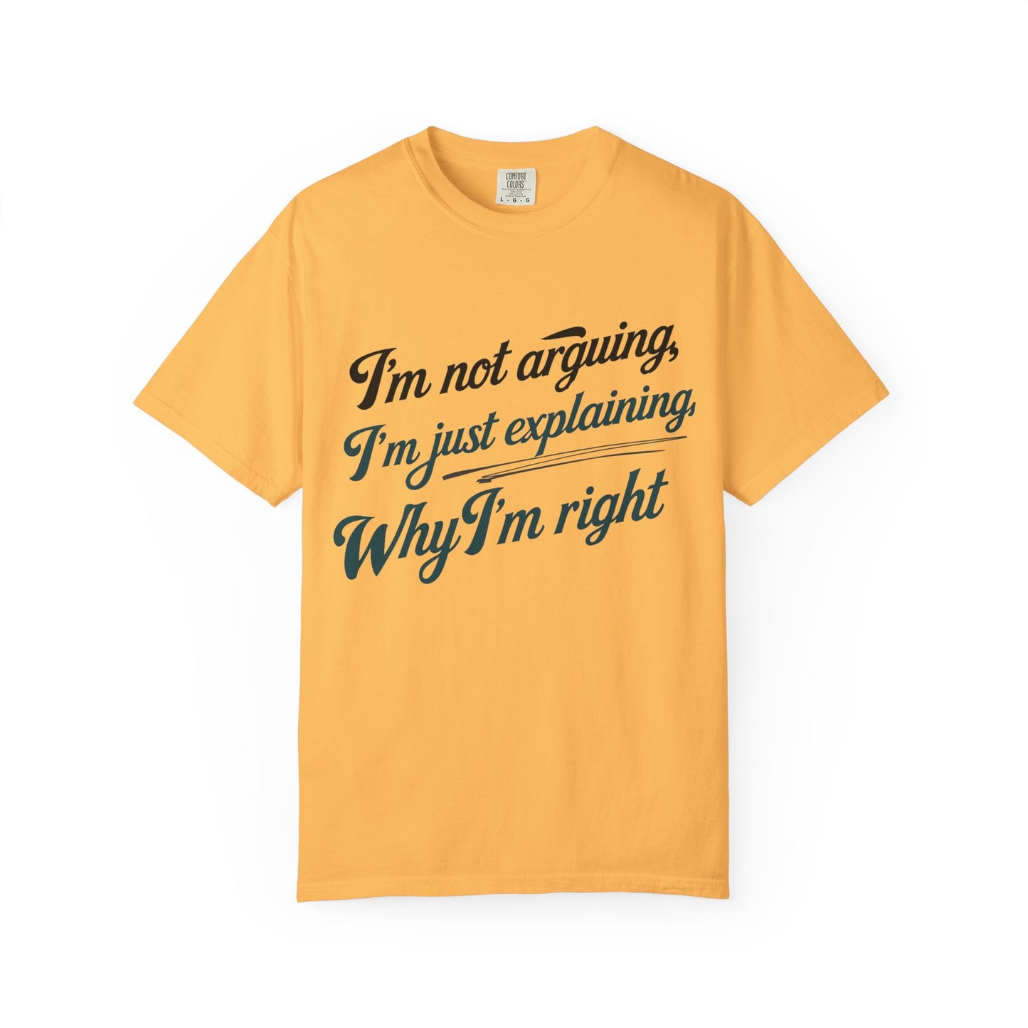 "I'm Not Arguing, I'm Just Explaining Why I'm Right" T-Shirt - The Art of Philosophical Debate Humor